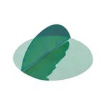 Wishbone Discs | WBD-SH | Hero Image